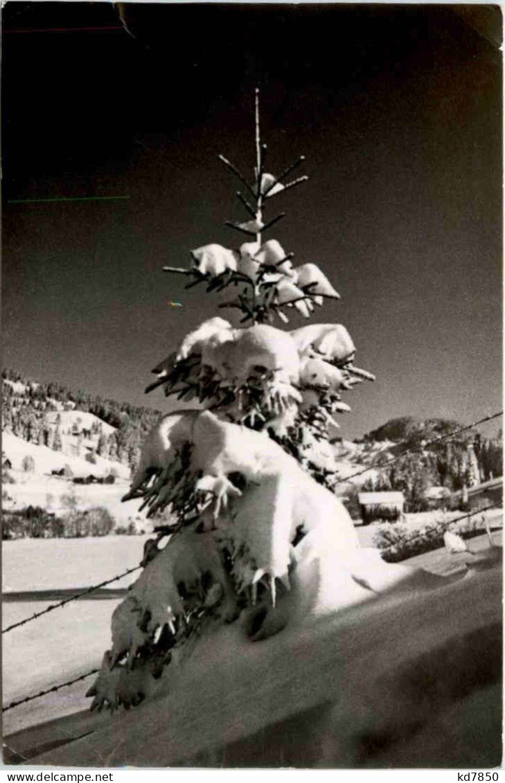 Winteridyll Bei Schönried - Other & Unclassified