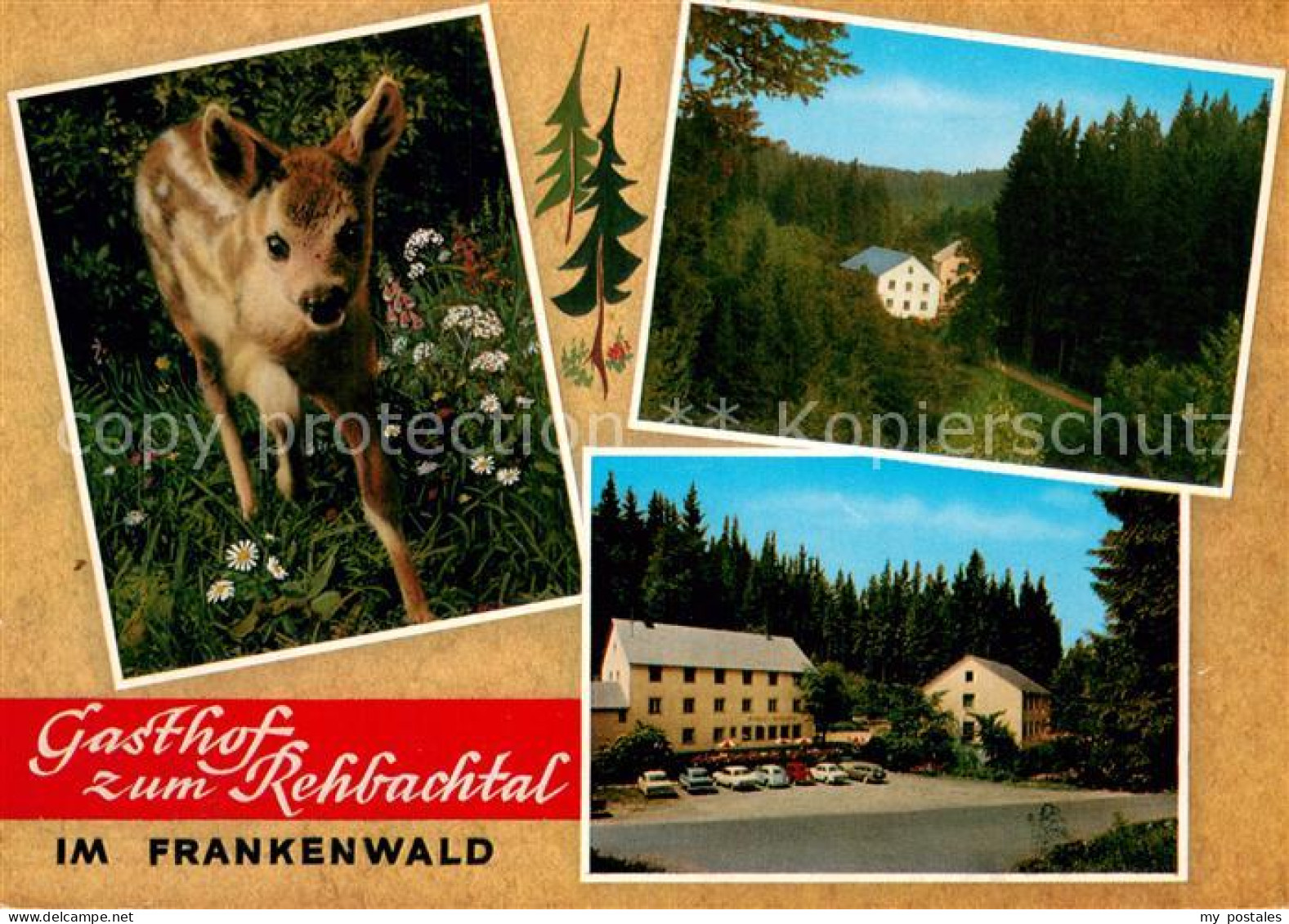 73785712 Grafengehaig Gasthof Zum Rehbachtal Rehkitz Grafengehaig - Other & Unclassified