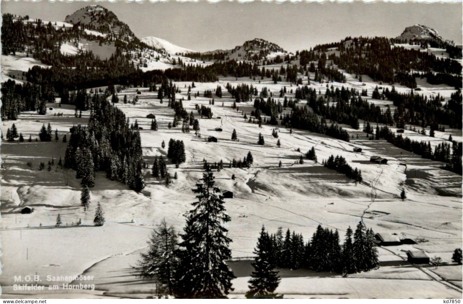 Saanenmöser - Skifelder Am Hornberg - Autres & Non Classés