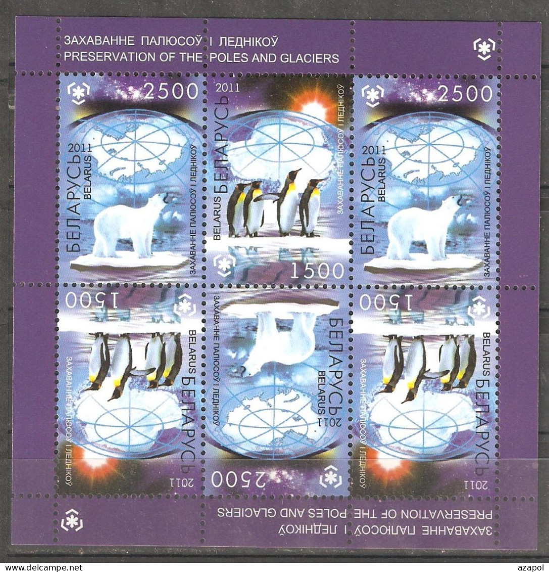 Belarus: Mint Block, Protection Of Polar Areas & Glaciers, 2011, Mi#Bl-83, MNH - Preservar Las Regiones Polares Y Glaciares