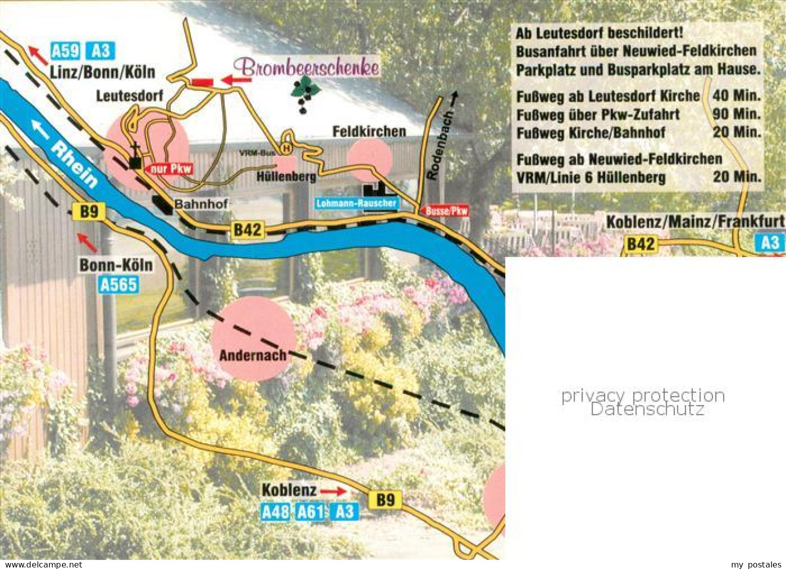 73785694 Leutesdorf Neuwied Brombeerschenke Gastraeume Freiterrasse Leutesdorf N - Neuwied