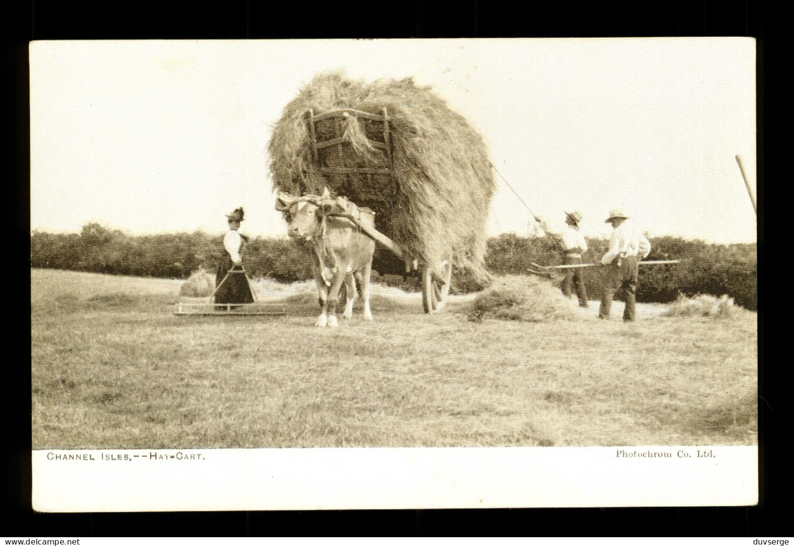 United Kingdom Channel Isles Jersey Guernesey Etc... Hay Cart Charrette à Foin - Other & Unclassified