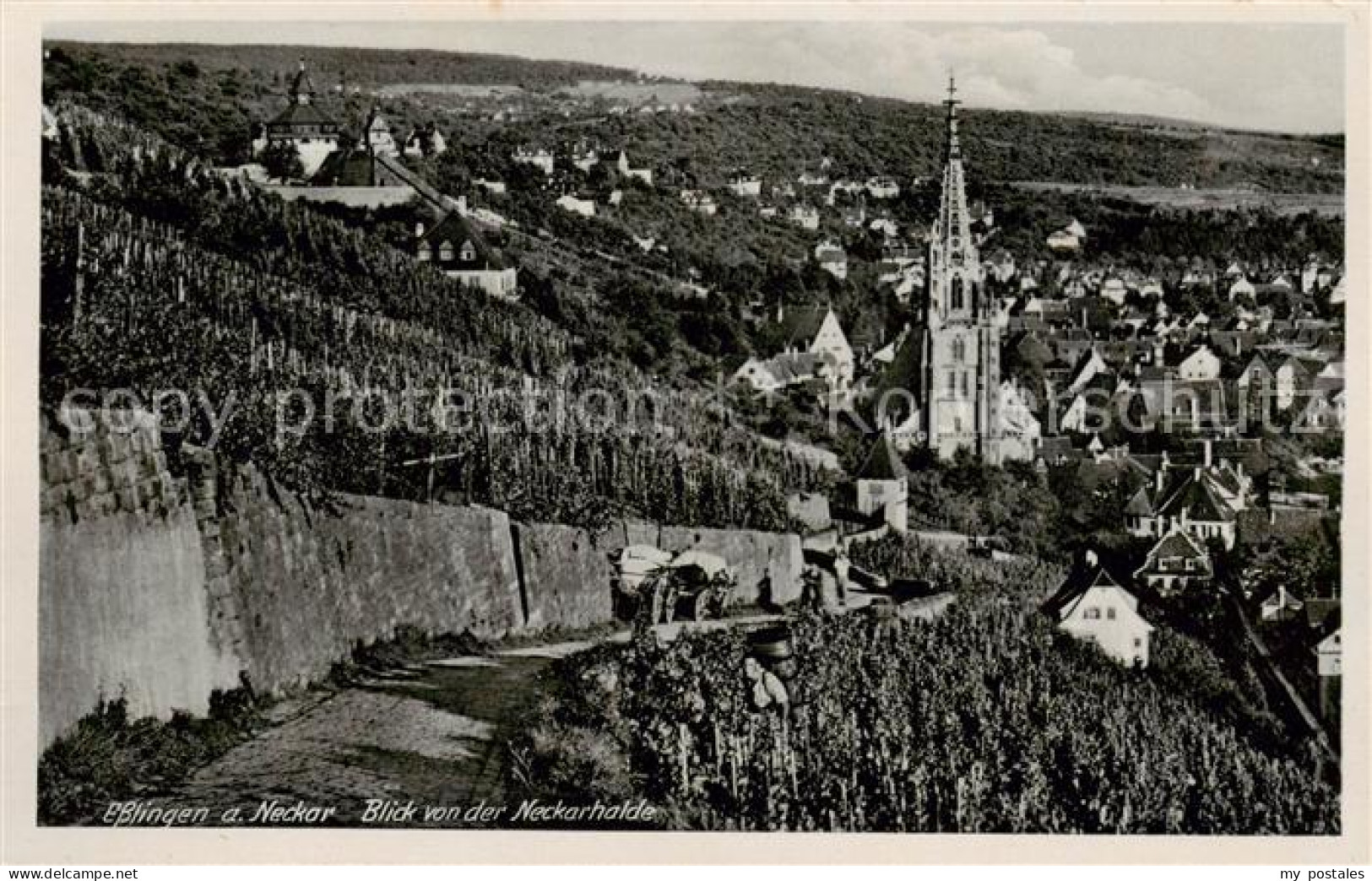 73785450 Esslingen  Neckar Teilansicht M. Kirche V. D. Neckarhalde Aus  - Esslingen