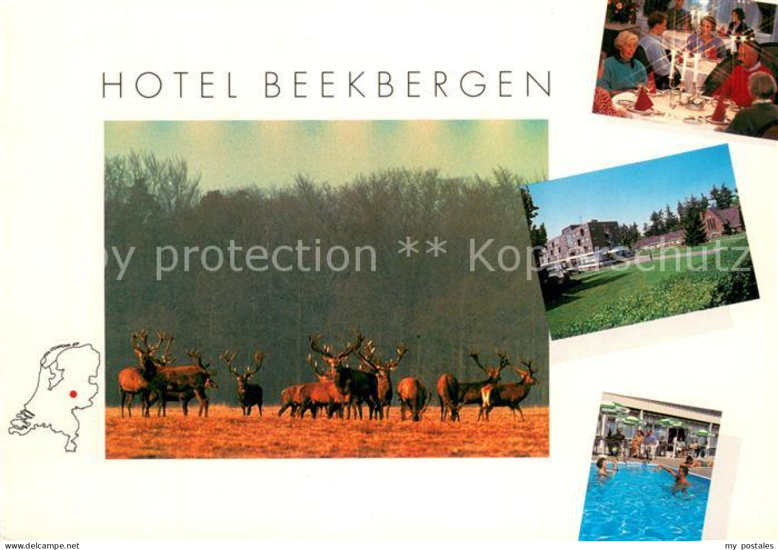 73785430 Beekbergen NL EurOase Hotel Restaurant Hallenbad Wild Hirsche  - Altri & Non Classificati