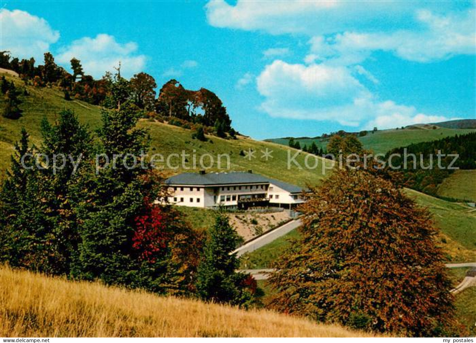 73785279 Wieden Schwarzwald Jugendherberge Belchen Am Wiedener Eck Wieden Schwar - Autres & Non Classés