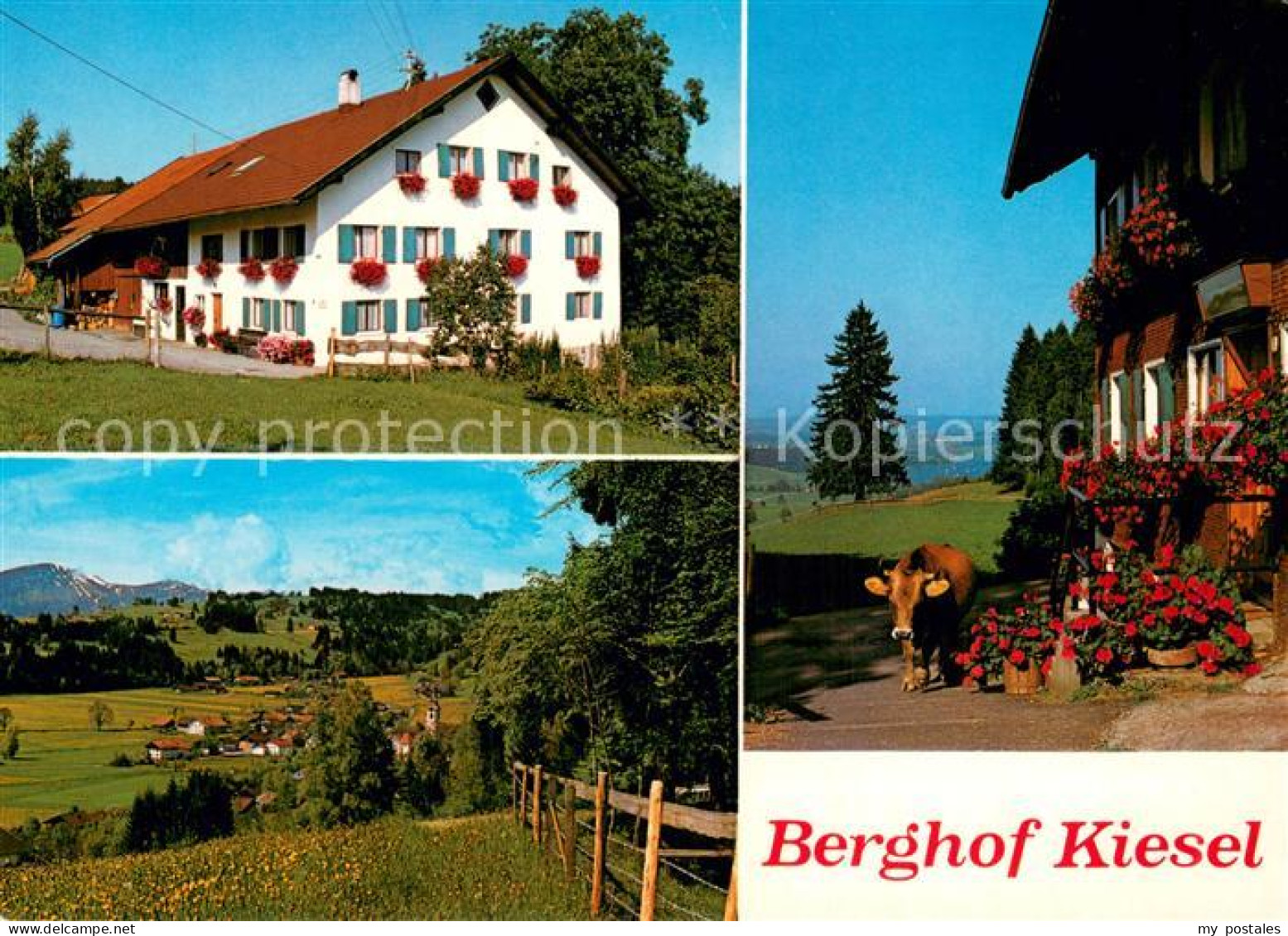 73785277 Niedersonthofen Berghof Kiesel Landschaftspanorama Niedersonthofen - Sonstige & Ohne Zuordnung