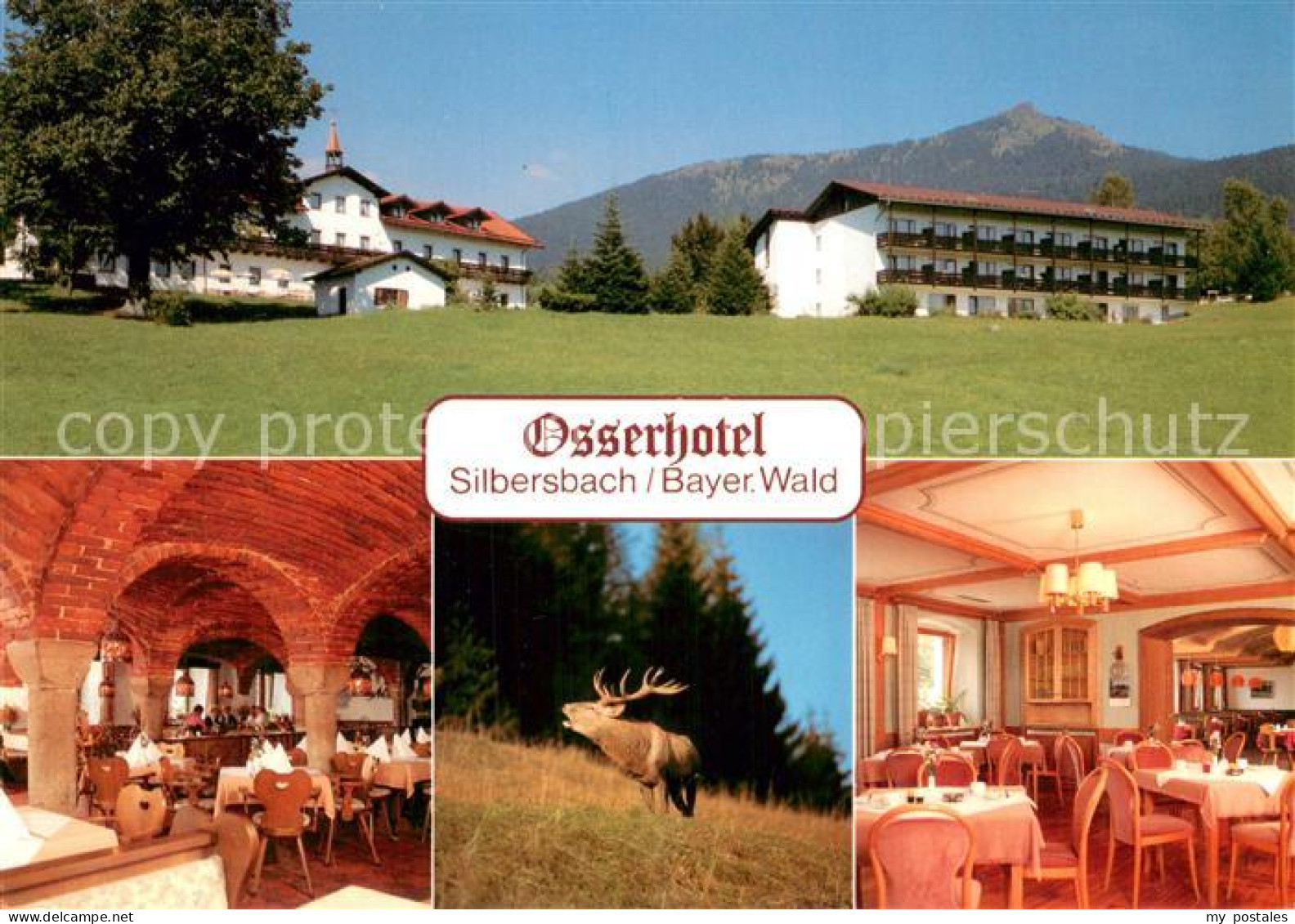 73785266 Silbersbach Osserhotel Restaurant Wild Hirsch Silbersbach - Autres & Non Classés