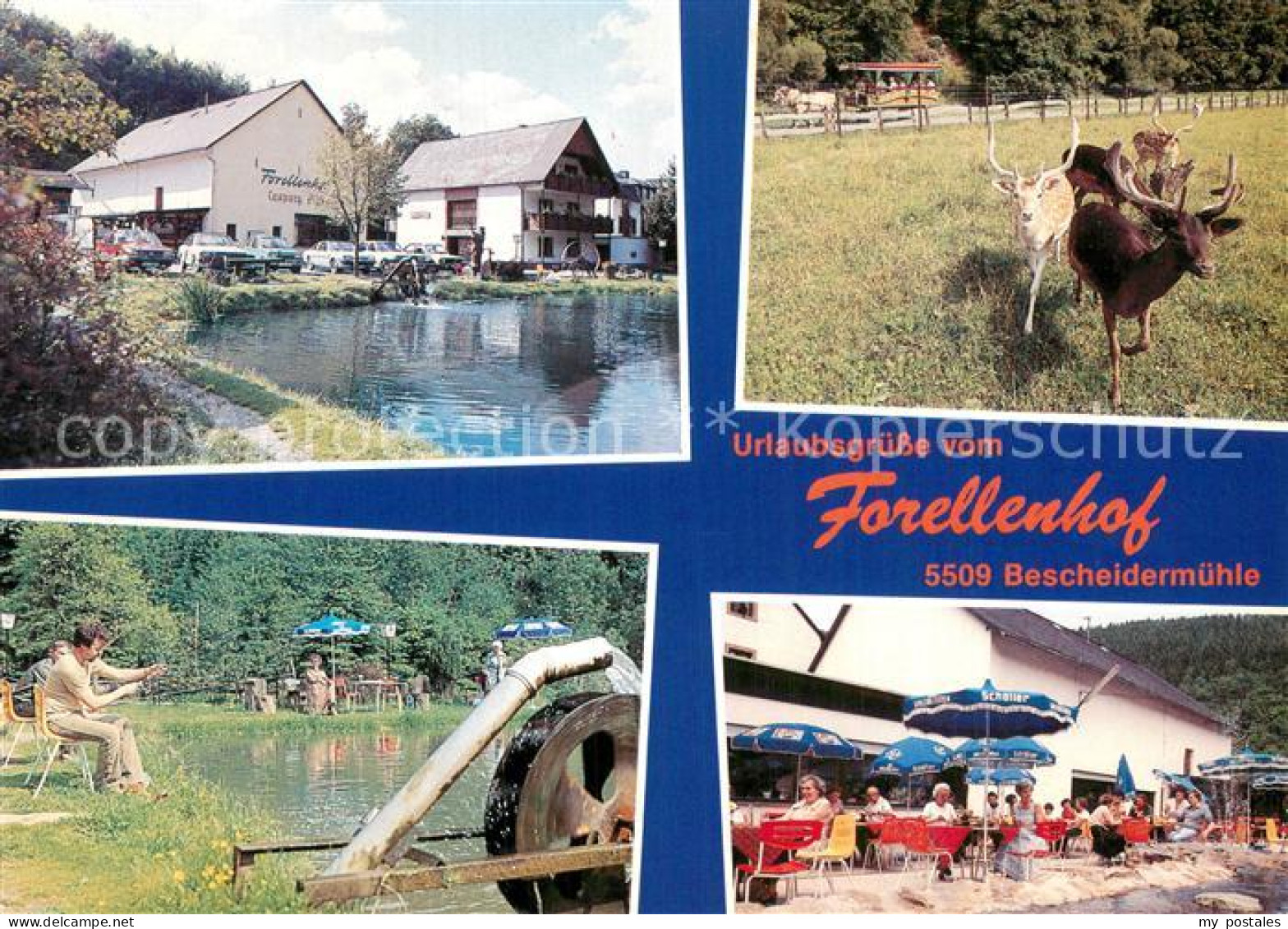 73785243 Bescheid Hermeskeil Hotel Pension Forellenhof Wildpark Anglersee Terras - Altri & Non Classificati