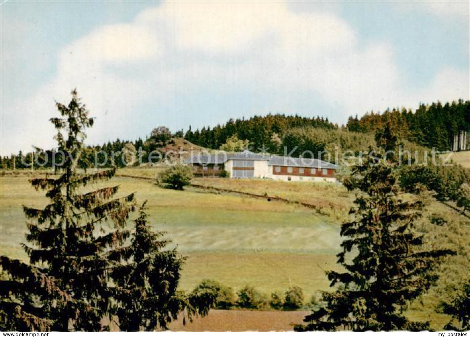 73785242 Niedersfeld Winterberg Haus Harpen  - Winterberg