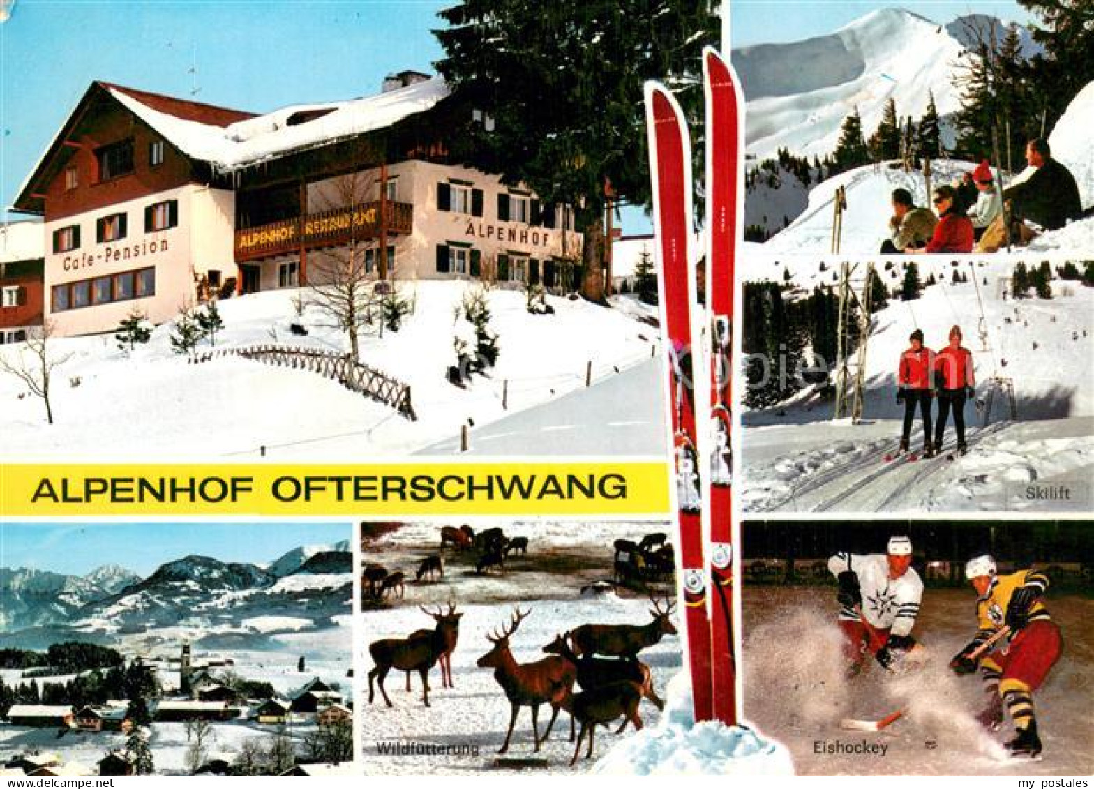 73785237 Ofterschwang Cafe Hotel Pension Alpenhof Panorama Skilift Wildfuetterun - Autres & Non Classés