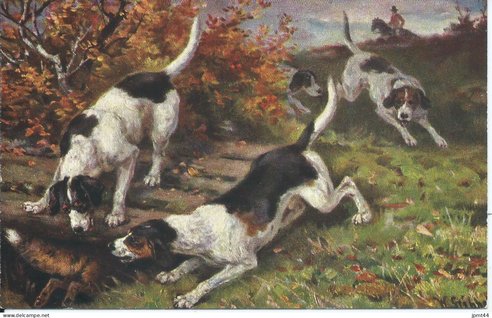 Chasse , 4 Chiens, Renard.  / Jâgd, 4 Hunde, Fuchs. (Illustrateur Muller J.) - Dogs