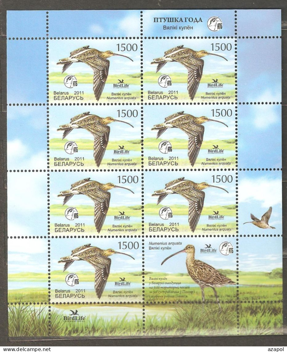 Belarus: Mint Sheetlet, Bird Of The Year - Eurasian Curlew, 2011, Mi#849, MNH - Belarus