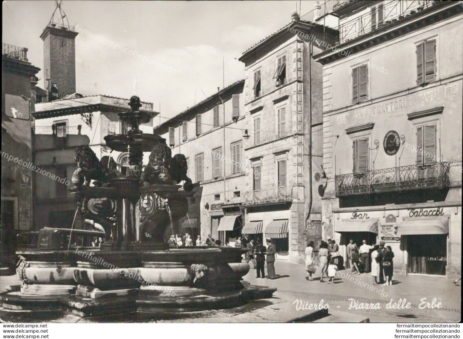 Ai293 Cartolina Viterbo Citta' Piazza Delle Erbe - Viterbo