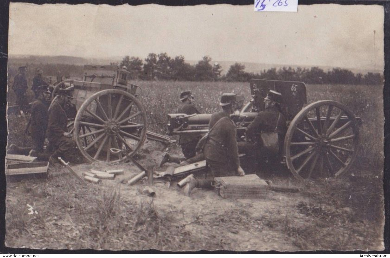 Von Frauenfeld - Feldgeschützes - Kanone Und Männer (15'265) - Frauenfeld