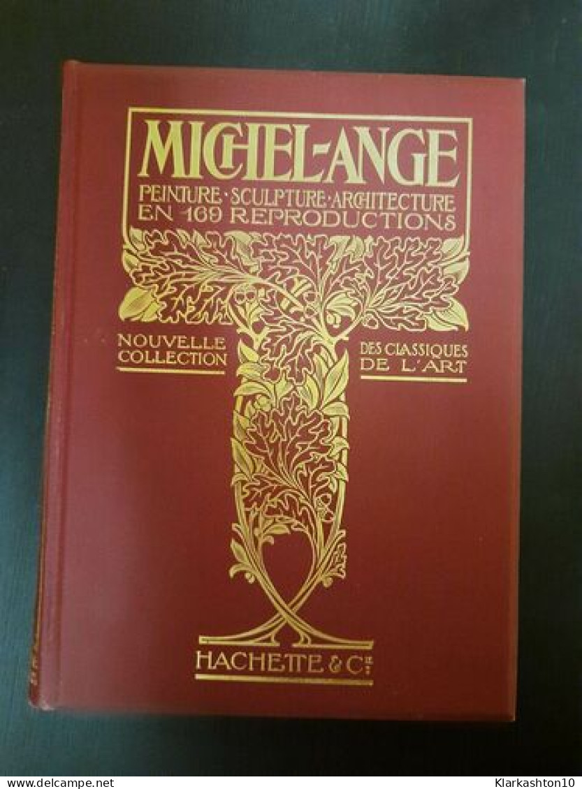 Michel Ange L'Oeuvre Du Maitre : Peinture Sculpture Architecture En 169 Reproductions - Andere & Zonder Classificatie