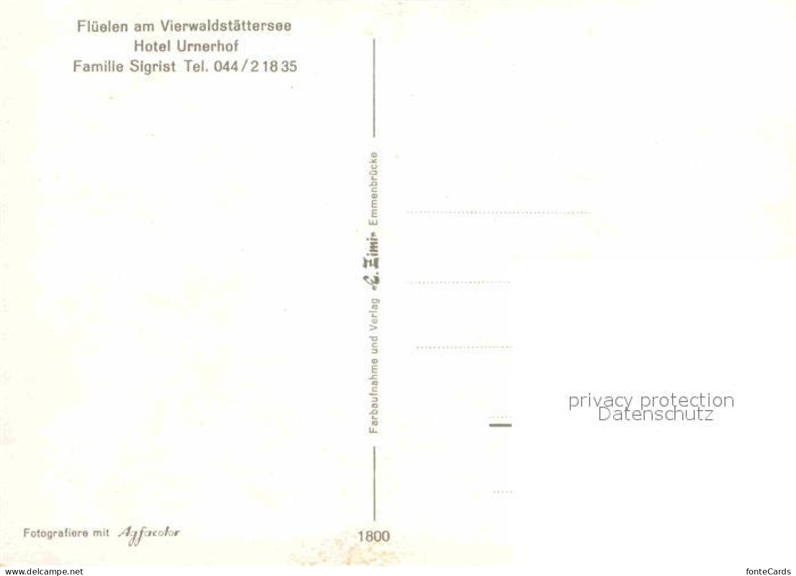 12905742 Flueelen UR Hotel Urnerhof Am Vierwaldstaettersee Flueelen - Sonstige & Ohne Zuordnung