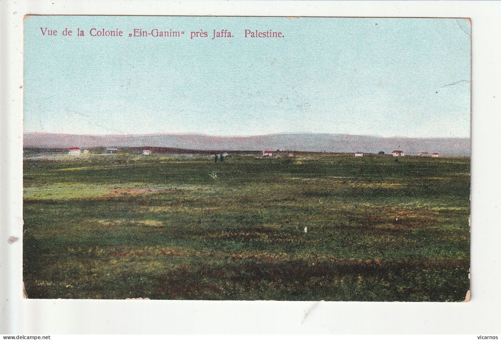 CP PALESTINE Vue De La Colonie "Ein-Ganim "pres Jaffa - Palästina