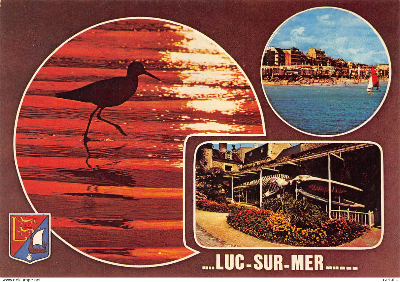 14-LUC SUR MER-N°3772-B/0387 - Luc Sur Mer