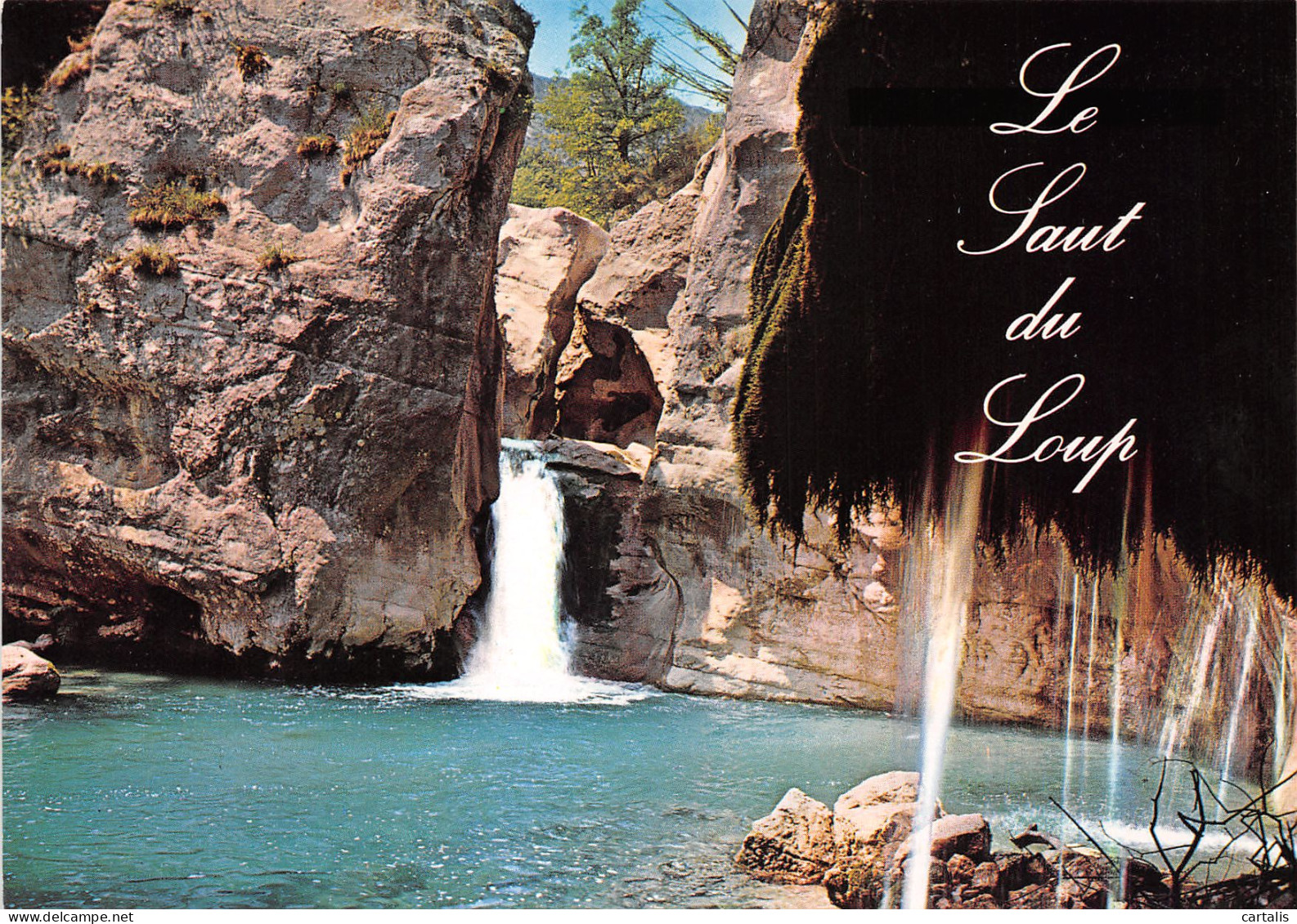 06-GORGES DU LOUP-N°3772-B/0217 - Other & Unclassified