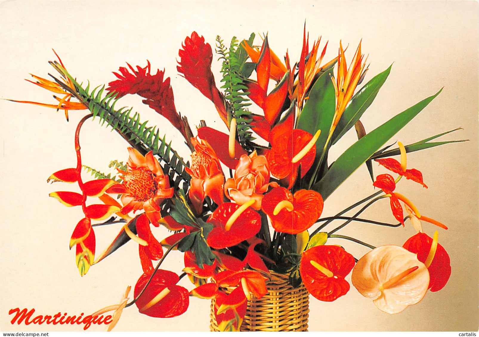 972-MARTINIQUE FLEURS TROPICALES-N°3772-B/0169 - Sonstige & Ohne Zuordnung