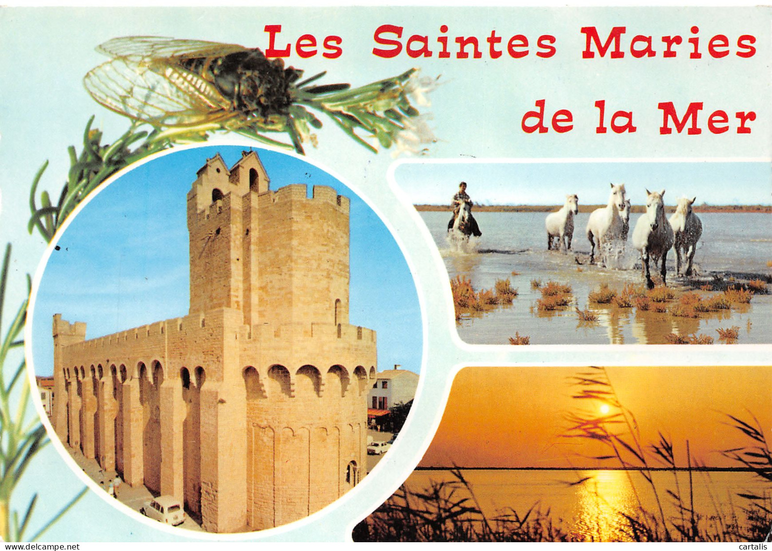 13-SAINTES MARIES DE LA MER-N°3772-B/0133 - Saintes Maries De La Mer