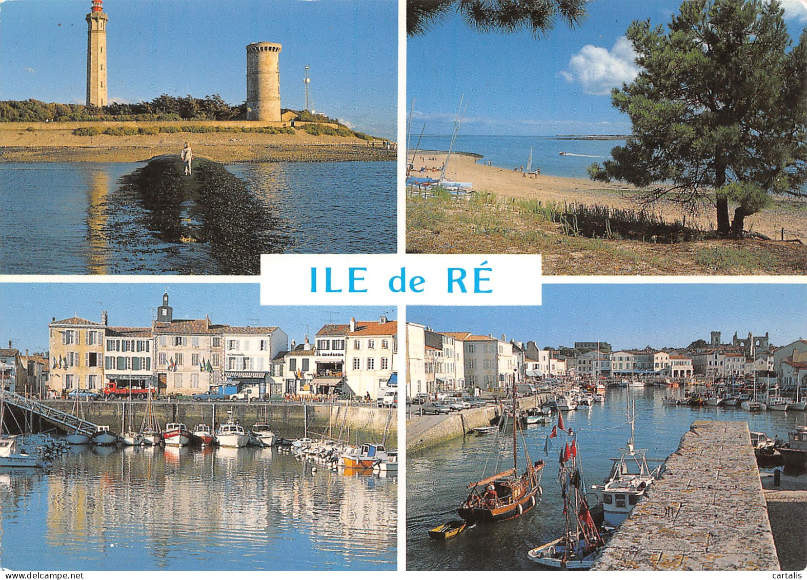 17-ILE DE RE-N°3772-B/0057 - Ile De Ré