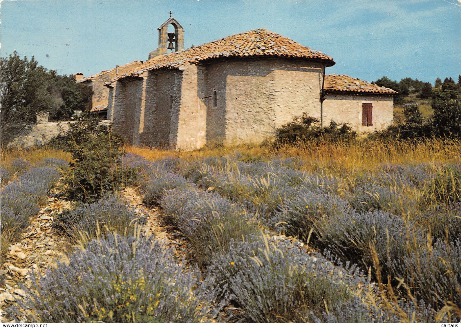 84-PROVENCE PLATEAU DES ABEILLES-N°3772-B/0049 - Sonstige & Ohne Zuordnung