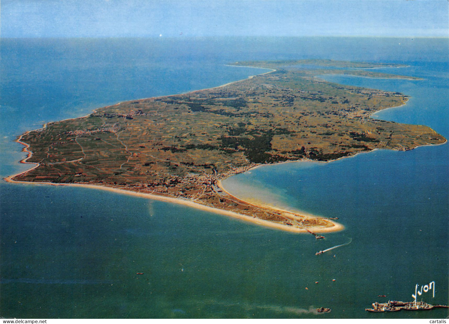 17-ILE DE RE-N°3772-A/0063 - Ile De Ré