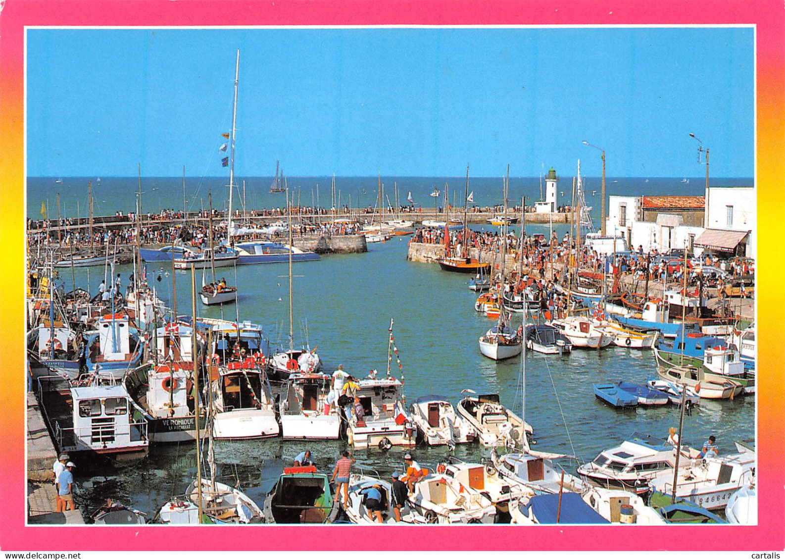 17-ILE DE RE-N°3772-A/0065 - Ile De Ré