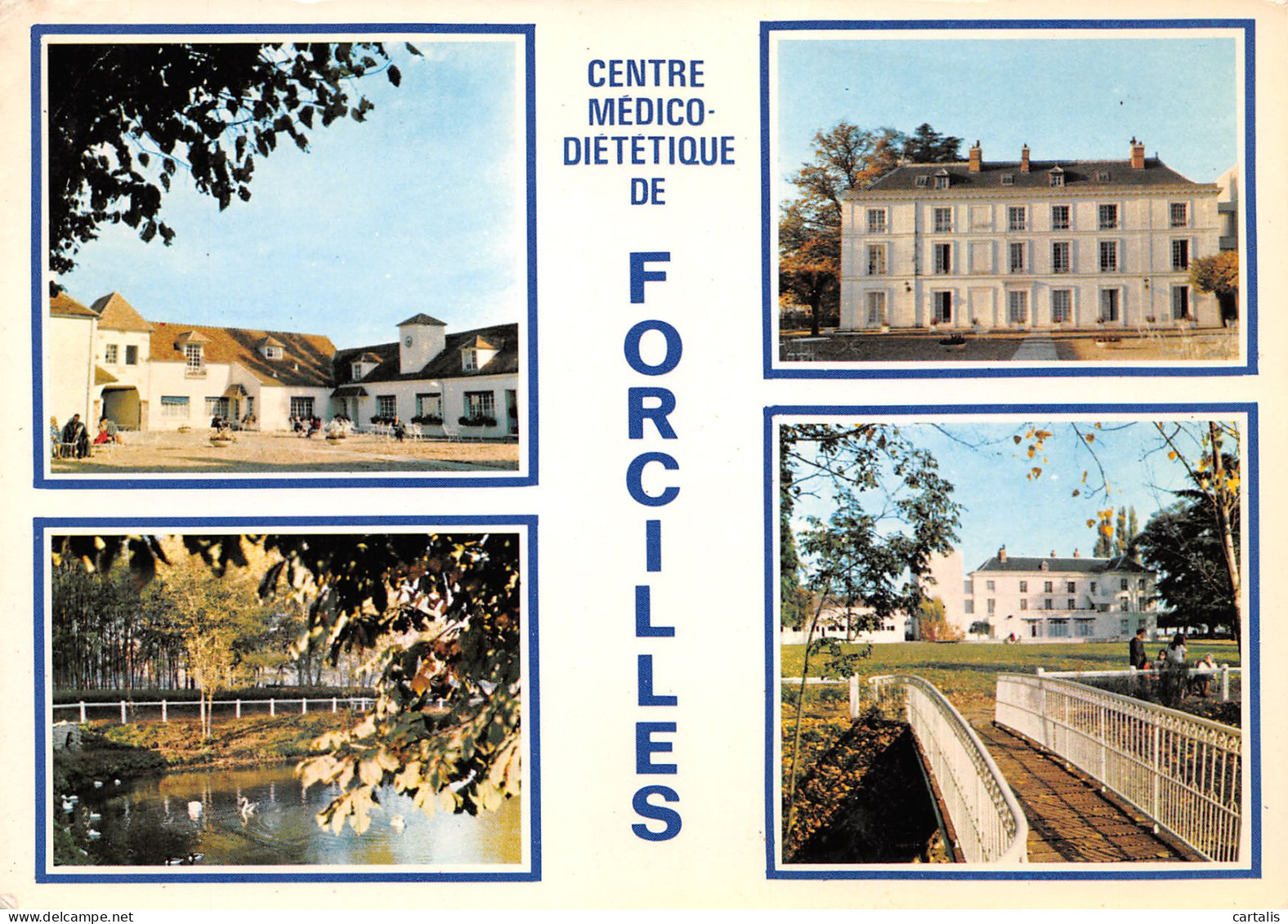 77-FEROLLES ATTILLY-N°3772-D/0325 - Other & Unclassified