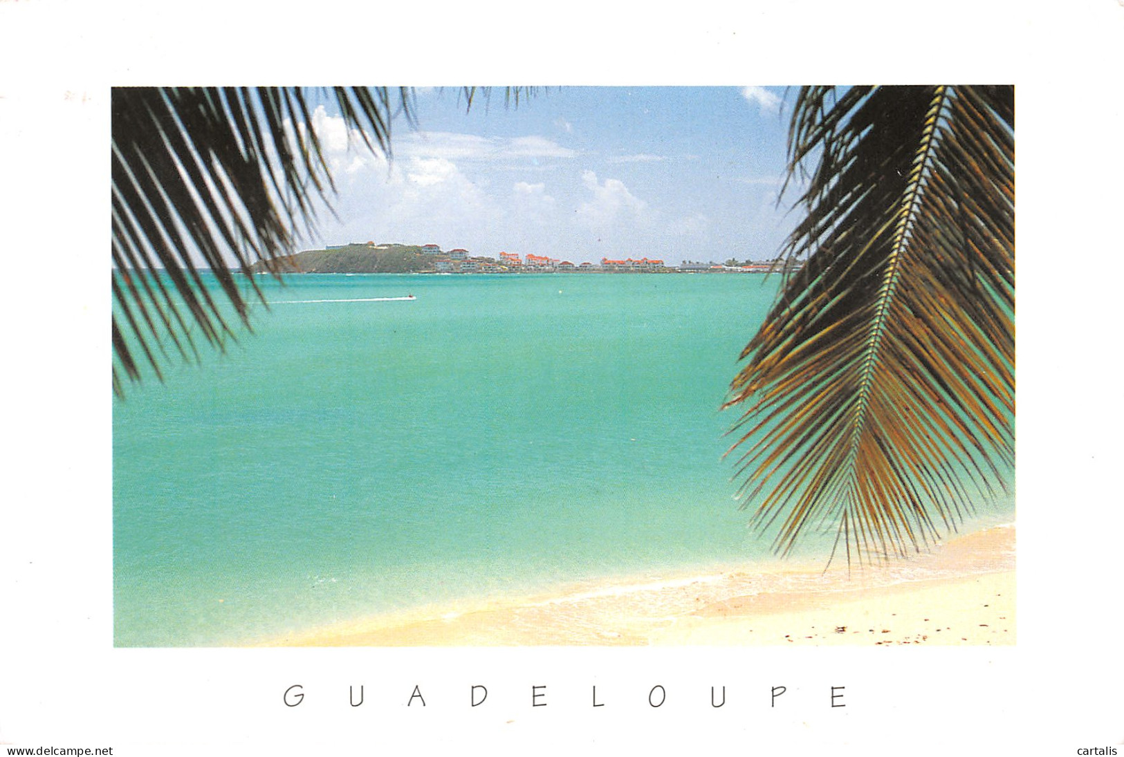 971-GUADELOUPE SAINT MARTIN-N°3772-D/0079 - Other & Unclassified