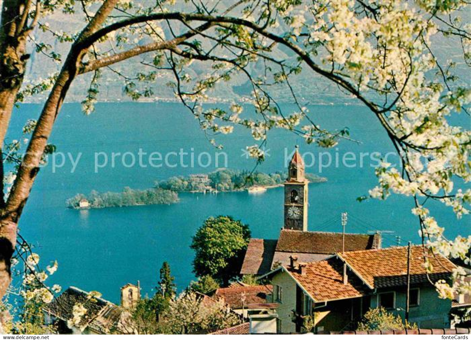 12898034 Ronco TI E Le Isole Lago Maggiore  - Otros & Sin Clasificación