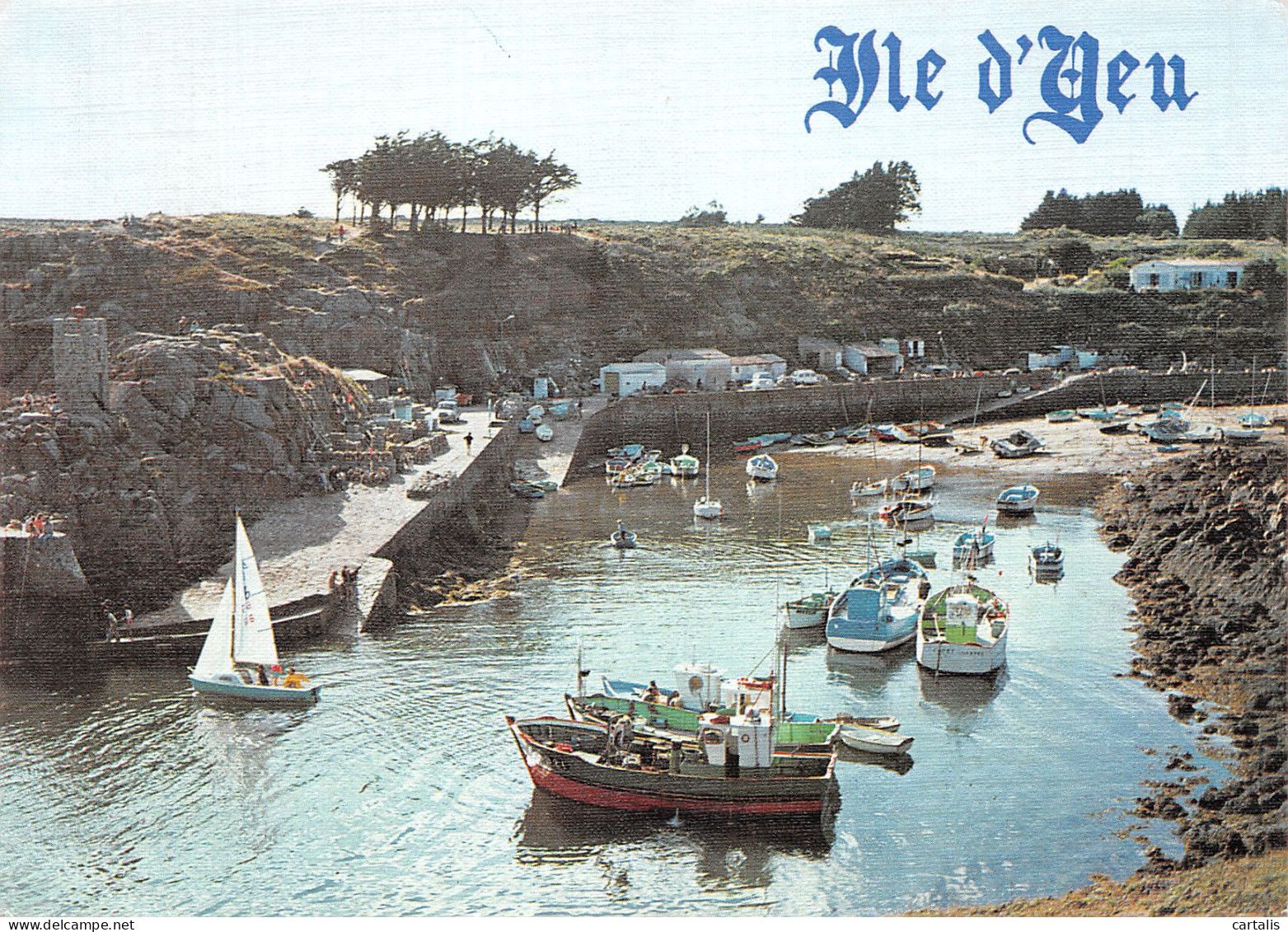 85-ILE D YEU-N°3772-C/0385 - Ile D'Yeu