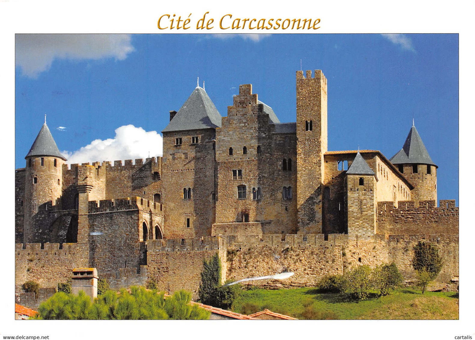 11-CARCASSONNE-N°3772-C/0365 - Carcassonne