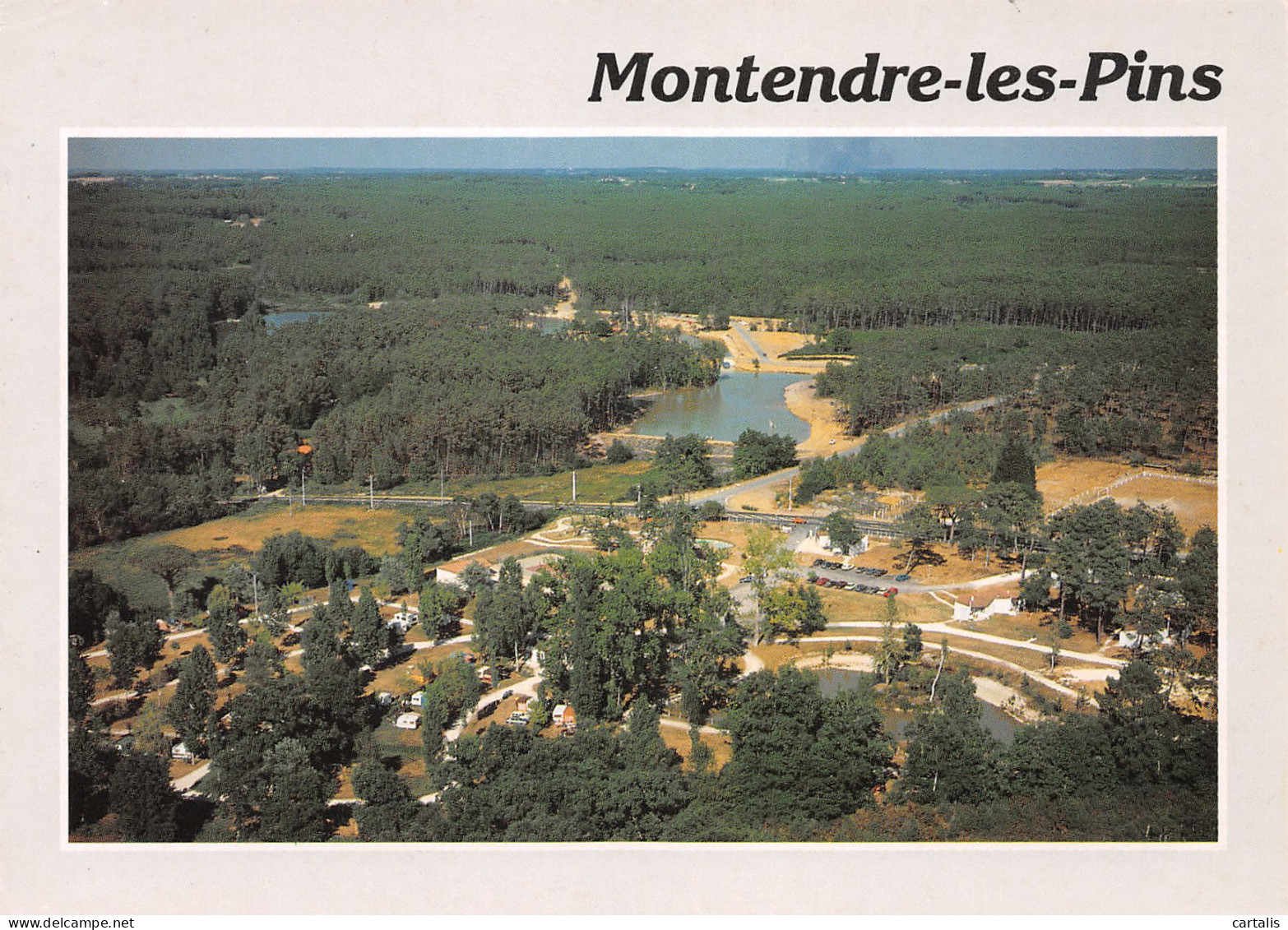 17-MONTENDRE LES PINS-N°3772-C/0311 - Montendre