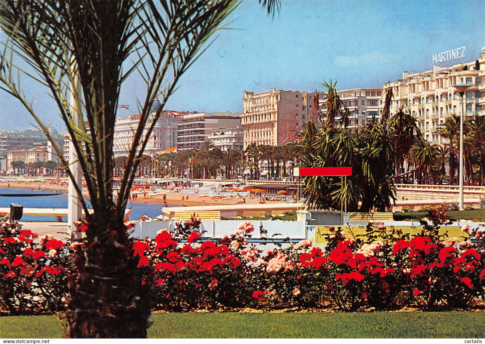 06-CANNES-N°3773-B/0257 - Cannes