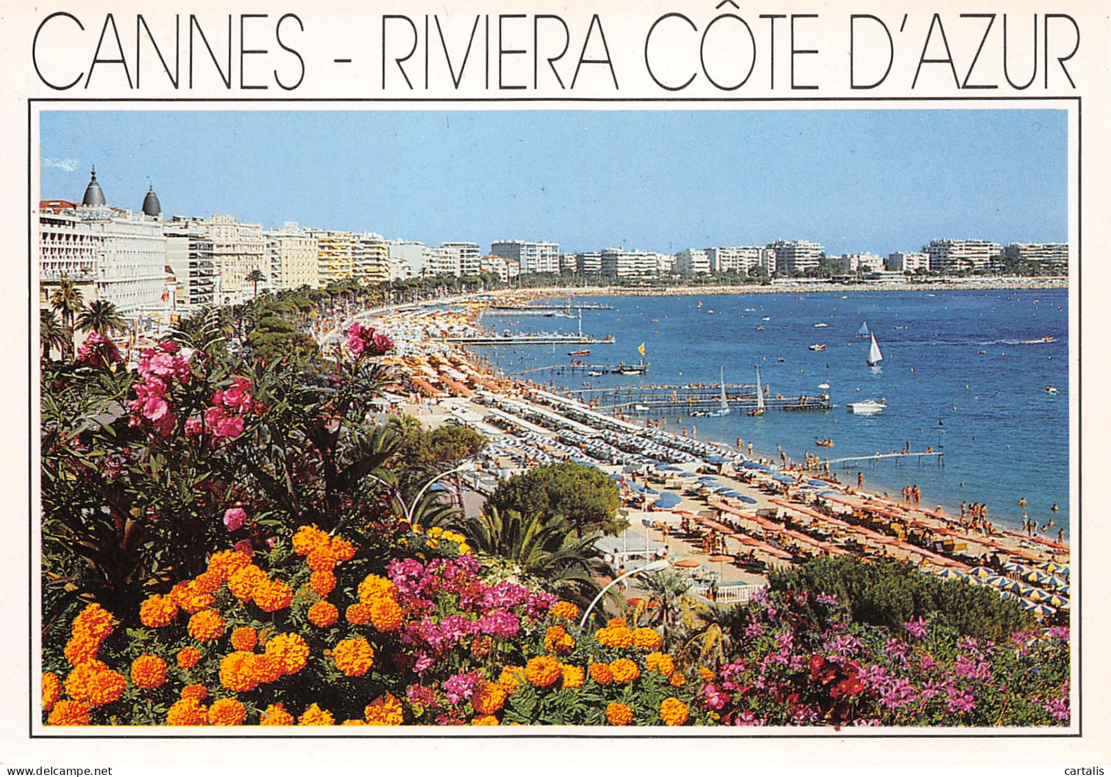 06-CANNES-N°3773-A/0185 - Cannes