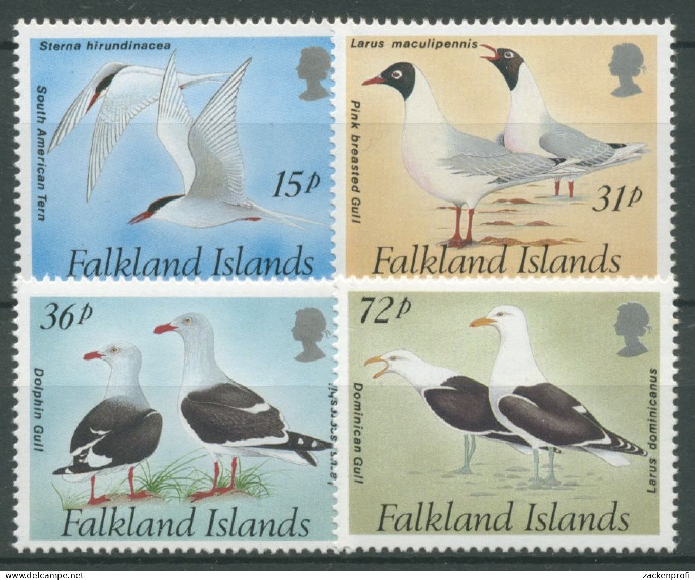 Falkland 1993 Vögel Seeschwalben Möwen 575/78 Postfrisch - Falkland Islands