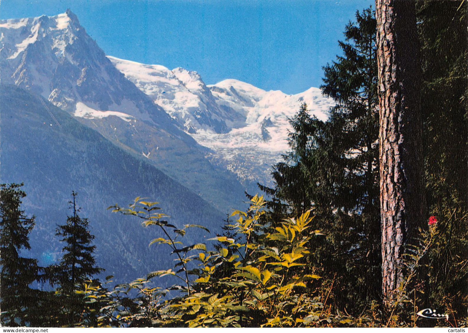 74-CHAMONIX-N°3773-A/0065 - Chamonix-Mont-Blanc