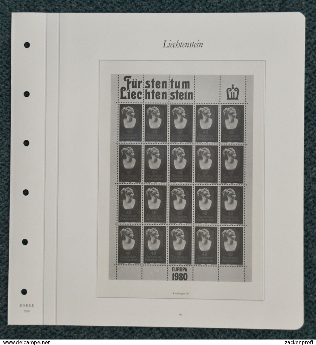BOREK Vordruckblätter Liechtenstein Bögen/Kleinbögen 1980/84 SF Gebraucht (Z779) - Vordruckblätter