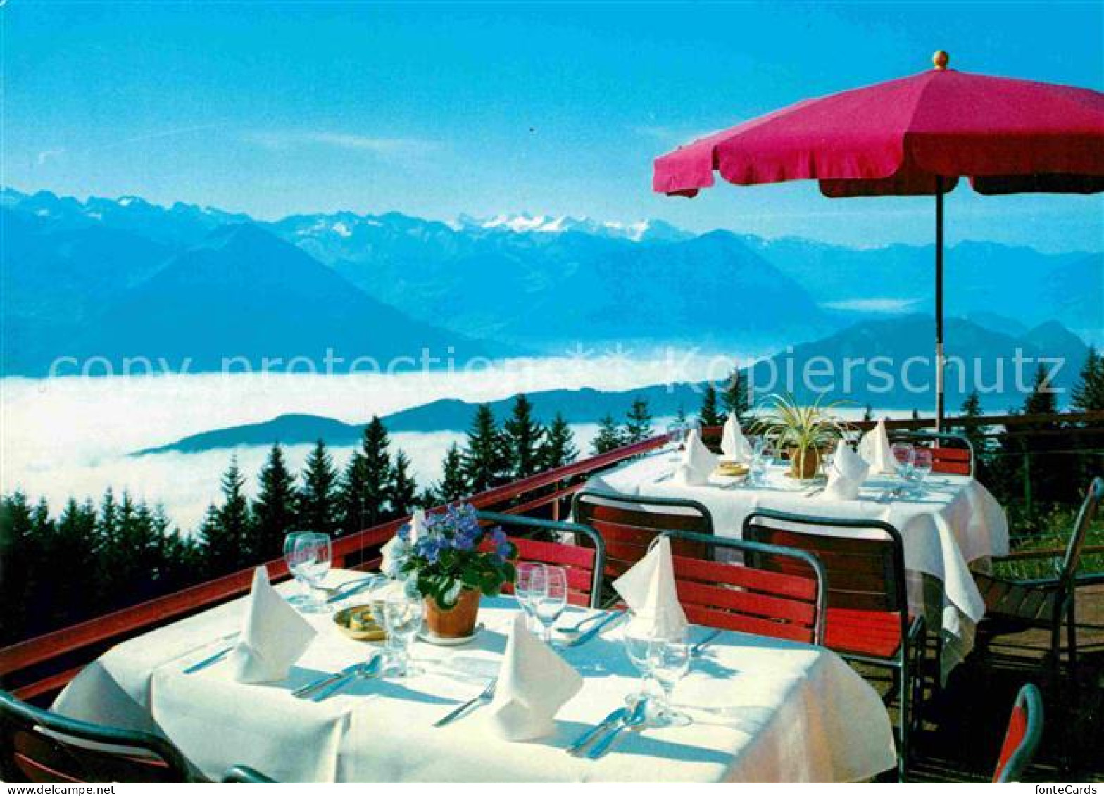 12896052 Rigi Kaltbad Hotel Bellevue Bratoefeli Rigi Kaltbad - Altri & Non Classificati