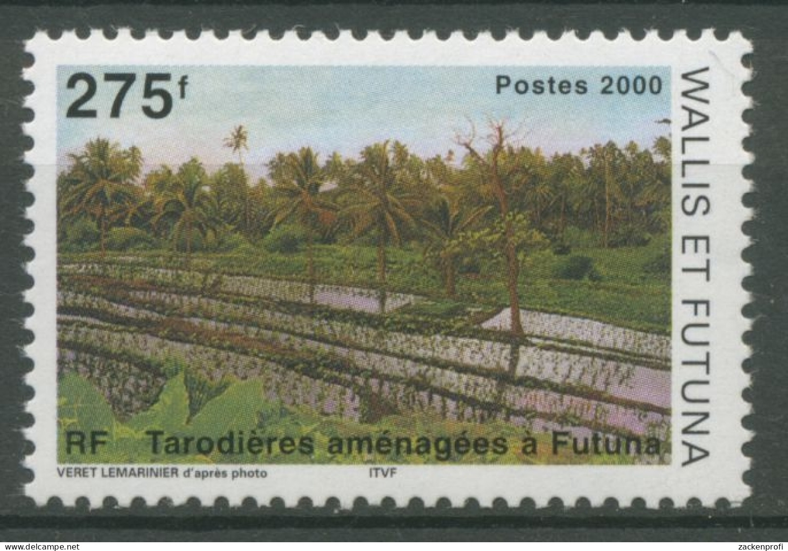 Wallis Und Futuna 2000 Landwirtschaft Taroplantage 777 Postfrisch - Unused Stamps