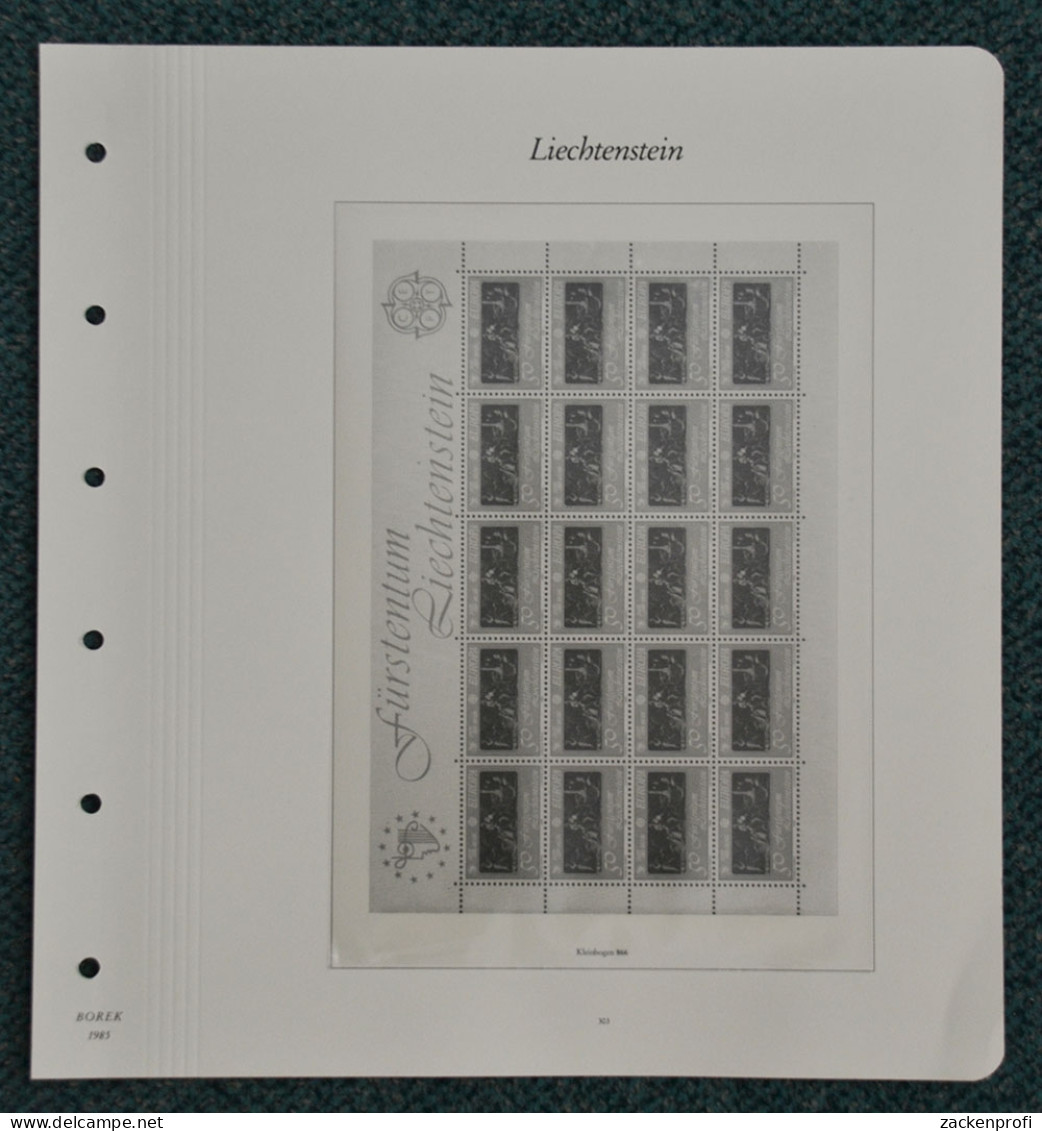 BOREK Vordruckblätter Liechtenstein Bögen/Kleinbögen 1985/89 SF Gebraucht (Z778) - Pre-printed Pages