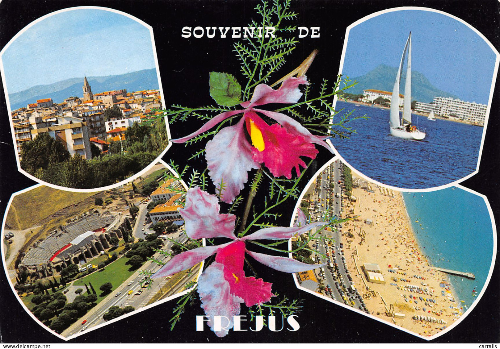 83-FREJUS-N°3774-C/0293 - Frejus