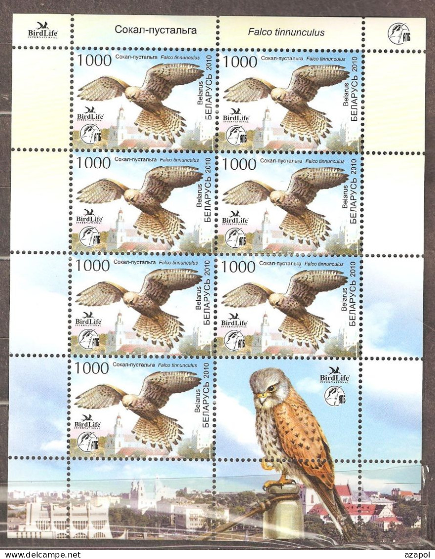 Belarus: Mint Sheetlet, Bird Of The Year - Common Kestrel, 2010, Mi#798, MNH. - Belarus