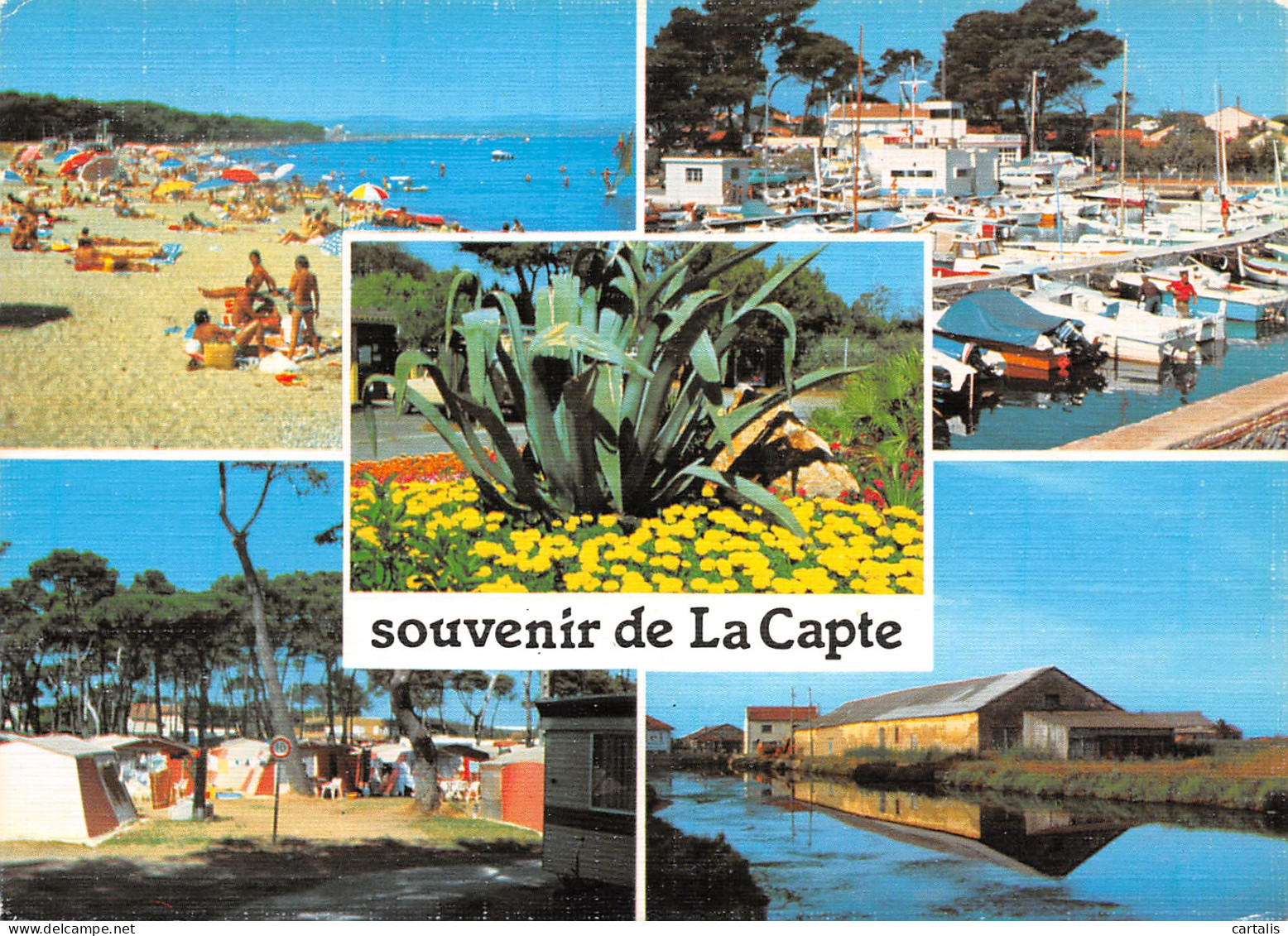 83-HYERES LES PALMIERS-N°3774-B/0215 - Hyeres