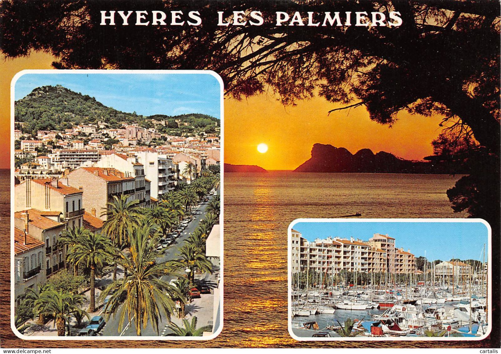 83-HYERES LES PALMIERS-N°3774-B/0031 - Hyeres