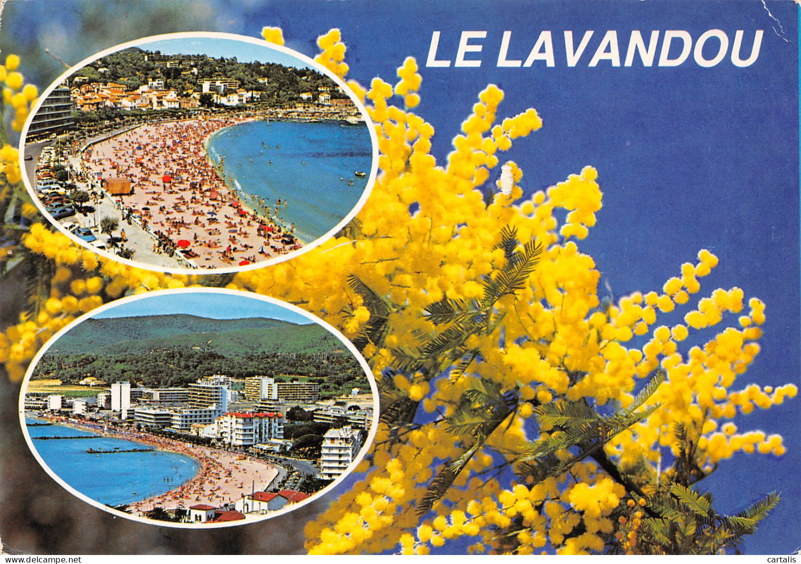 83-LE LAVANDOU-N°3774-A/0277 - Le Lavandou