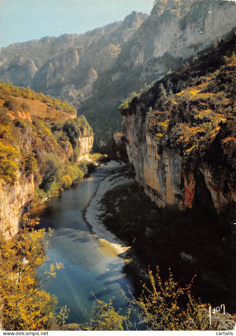 48-GORGES DU TARN-N°3774-A/0249 - Gorges Du Tarn