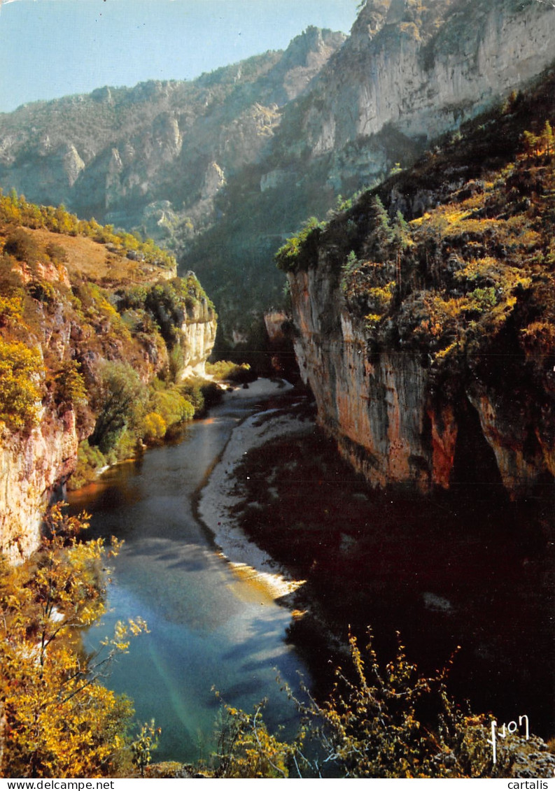 48-GORGES DU TARN-N°3774-A/0245 - Gorges Du Tarn